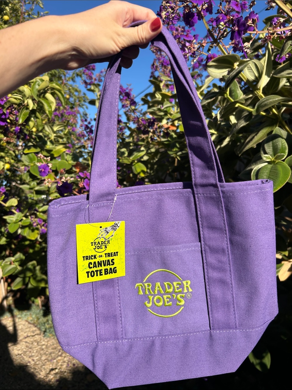 Trader Joe’s mini canvas tote